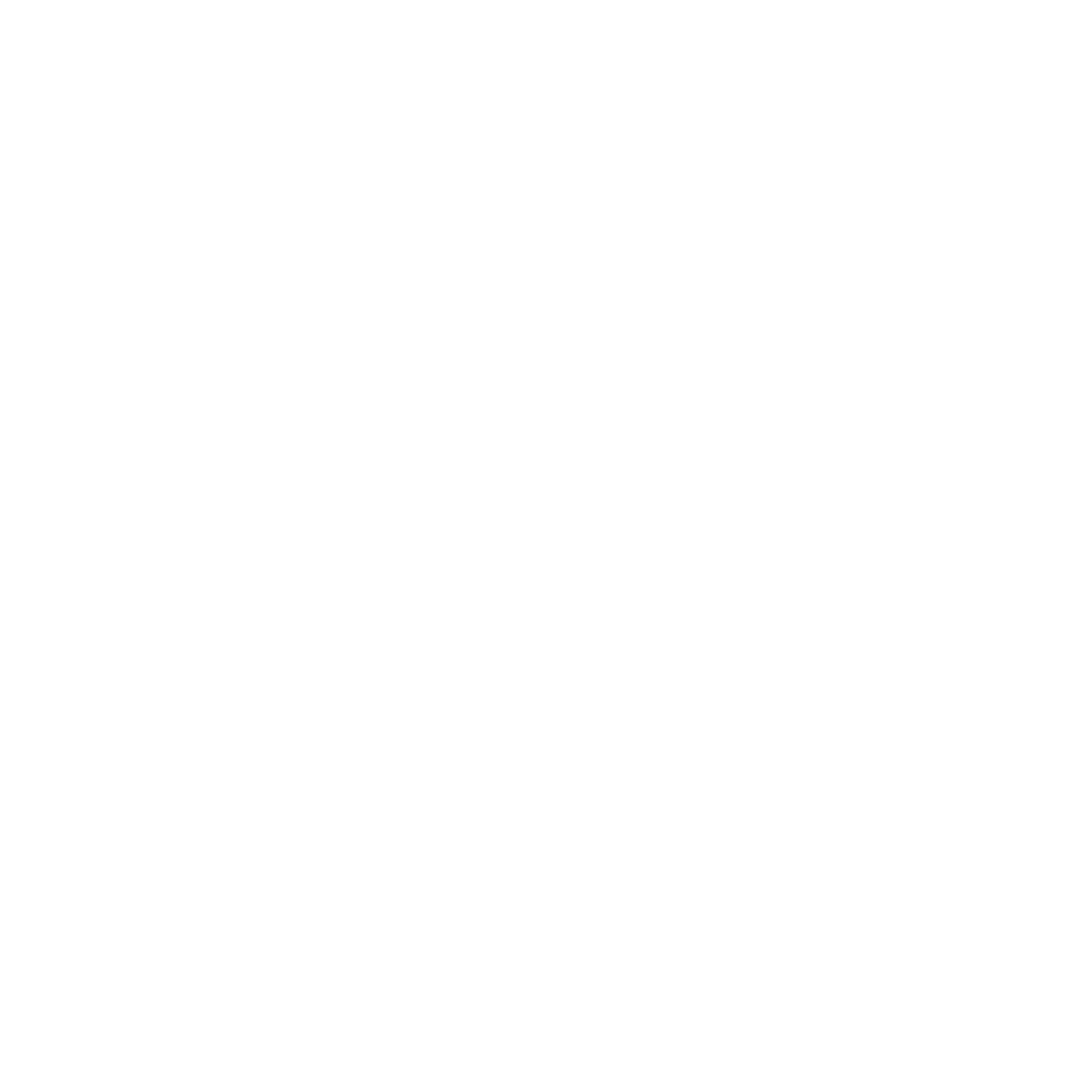 ns.maths_ logo
